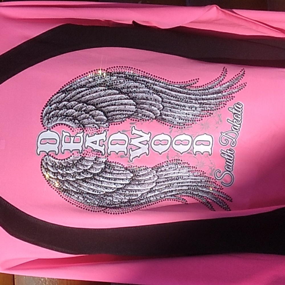 PINK LightWeight Sweatshirt DEAD WOOD ANGEL WINGS South Dakota Fits L-1X